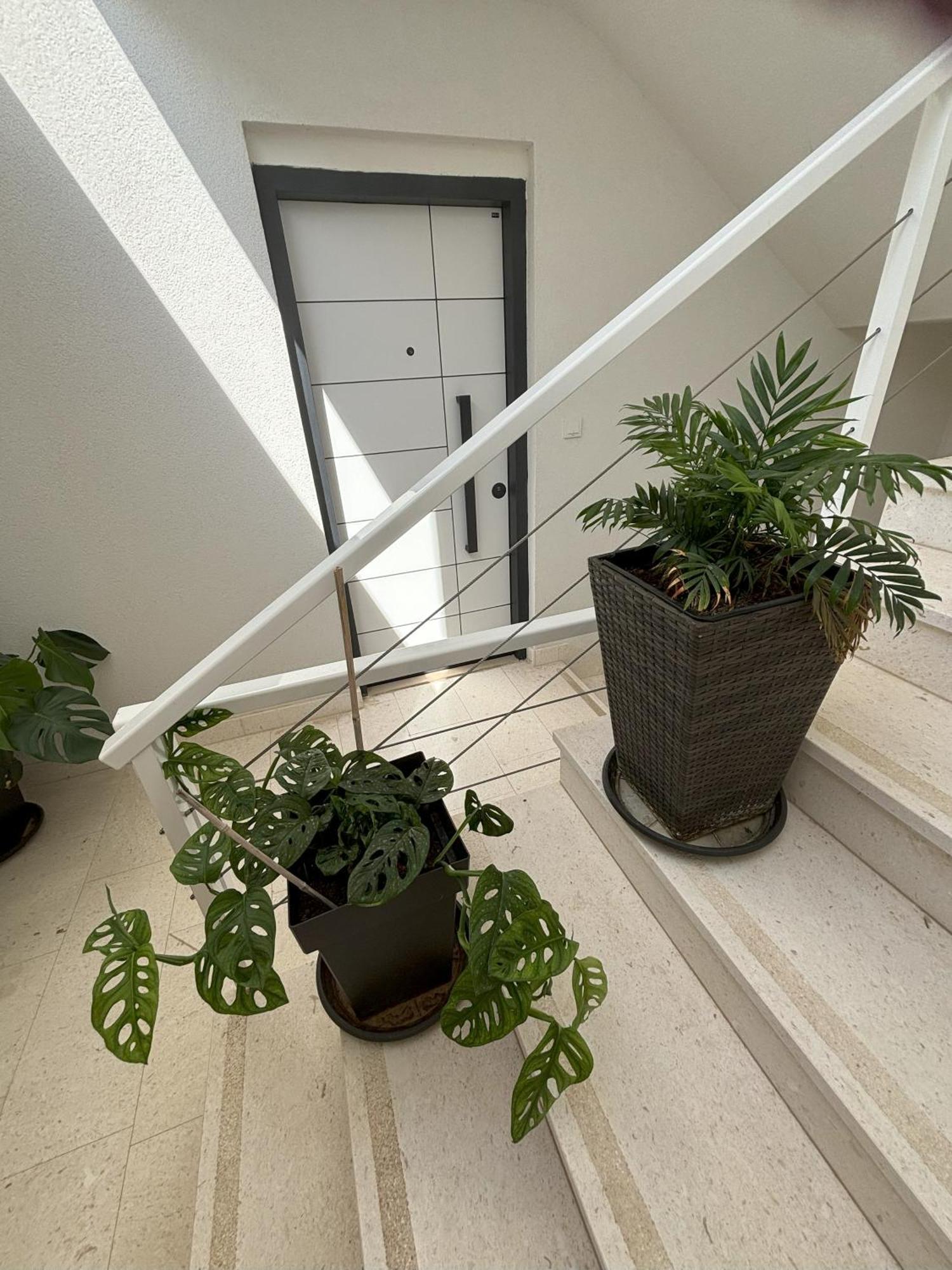 Vila Regina Apartment Paloma With Swimming Pool Jezera Exterior photo